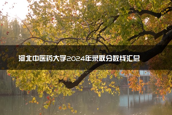 河北中医药大学2024年录取分数线汇总 各省最低分与位次排名及2025报考指南
