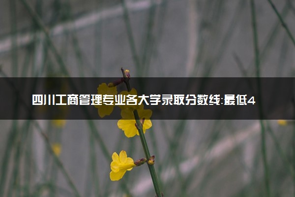 四川工商管理专业各大学录取分数线：最低460分能上 开设院校及位次
