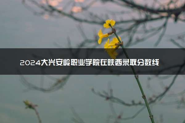 2024大兴安岭职业学院在陕西录取分数线 各专业分数及位次