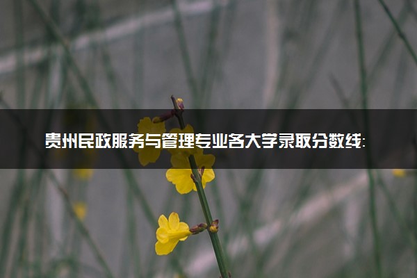 贵州民政服务与管理专业各大学录取分数线：最低419分能上 开设院校及位次