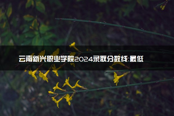 云南新兴职业学院2024录取分数线：最低180分 附2025年报考建议及注意事项