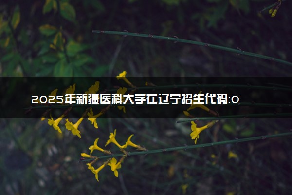 2025年新疆医科大学在辽宁招生代码：0760 专业代码及报考指南
