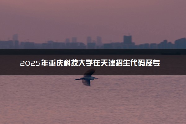 2025年重庆科技大学在天津招生代码及专业代码 重庆科技大学天津代码是多少？怎么查询？