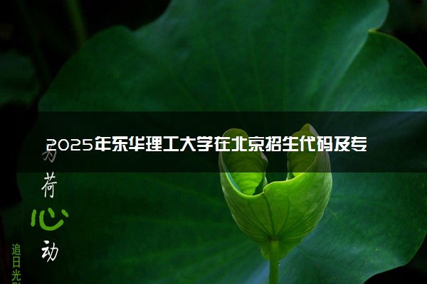 2025年东华理工大学在北京招生代码及专业代码 东华理工大学北京代码是多少？怎么查询？