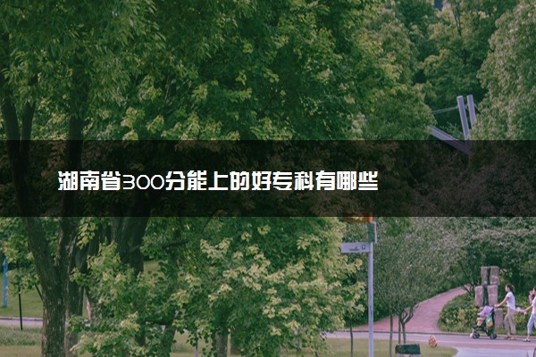 湖南省300分能上的好专科有哪些