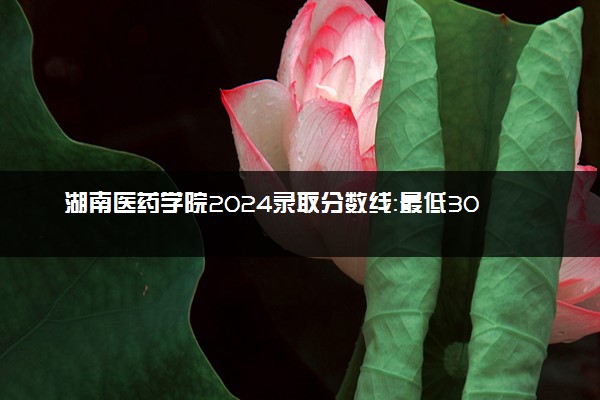 湖南医药学院2024录取分数线：最低304分 附2025年报考建议及注意事项