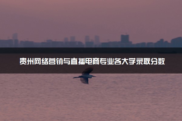 贵州网络营销与直播电商专业各大学录取分数线：最低188分能上 开设院校及位次