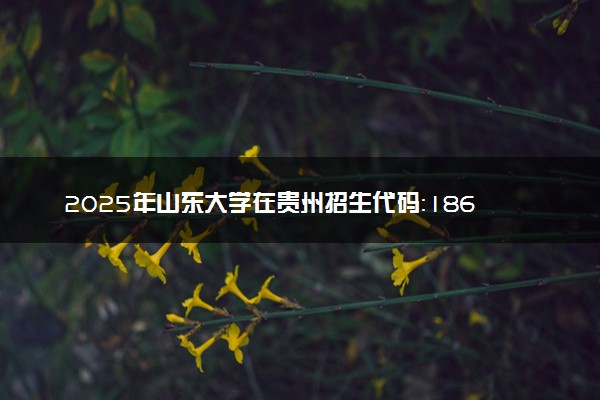 2025年山东大学在贵州招生代码：1860 专业代码及报考指南