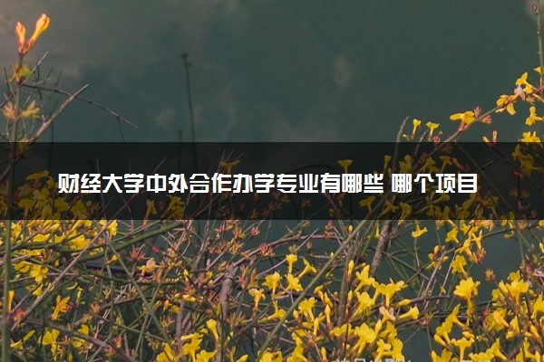 财经大学中外合作办学专业有哪些 哪个项目好