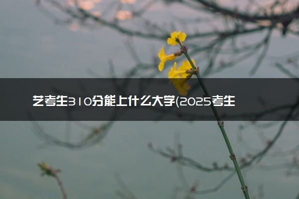 艺考生310分能上什么大学（2025考生参考）