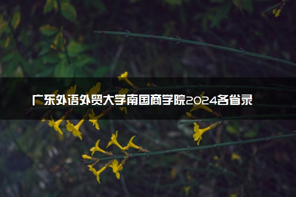 广东外语外贸大学南国商学院2024各省录取分数线及最低位次是多少