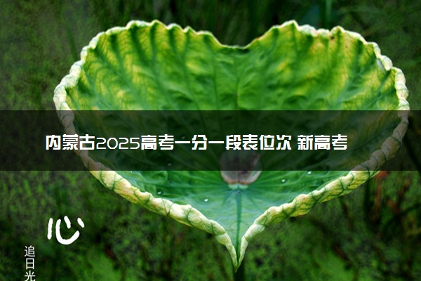 内蒙古2025高考一分一段表位次 新高考如何看排名