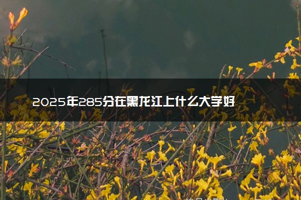 2025年285分在黑龙江上什么大学好 近三年录取分数线是多少