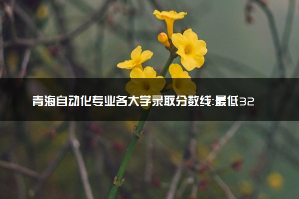 青海自动化专业各大学录取分数线：最低323分能上 开设院校及位次