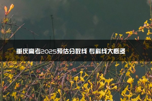 重庆高考2025预估分数线 专科线大概多少分