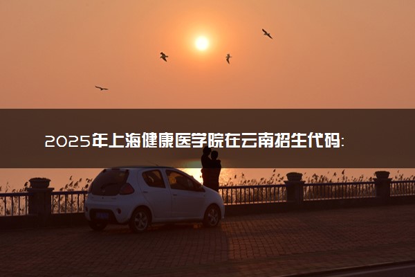 2025年上海健康医学院在云南招生代码：3110 专业代码及报考指南