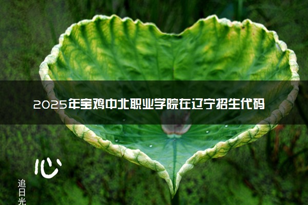 2025年宝鸡中北职业学院在辽宁招生代码：4770 专业代码及报考指南