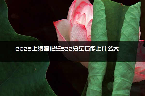 2025上海物化生532分左右能上什么大学 可以报考的院校名单