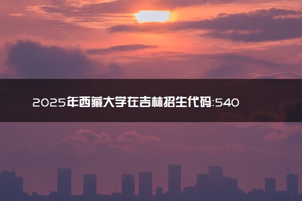 2025年西藏大学在吉林招生代码：5401 专业代码及报考指南