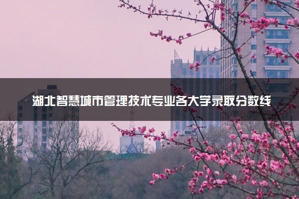 湖北智慧城市管理技术专业各大学录取分数线：最低325分能上 开设院校及位次