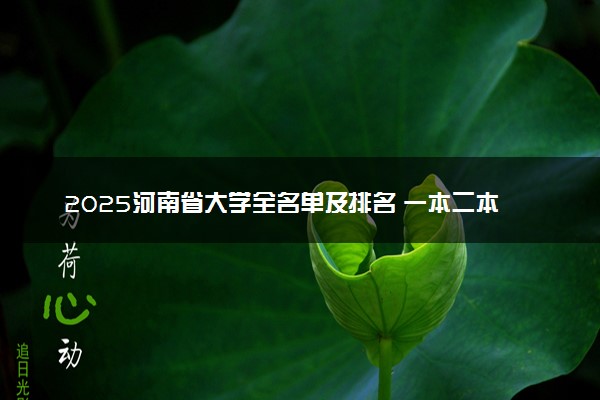 2025河南省大学全名单及排名 一本二本大学+985/211汇总