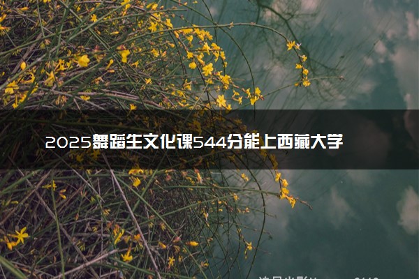 2025舞蹈生文化课544分能上西藏大学吗