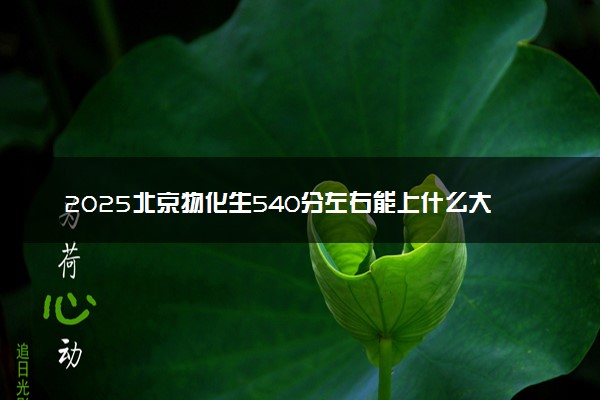 2025北京物化生540分左右能上什么大学 可以报考的院校名单
