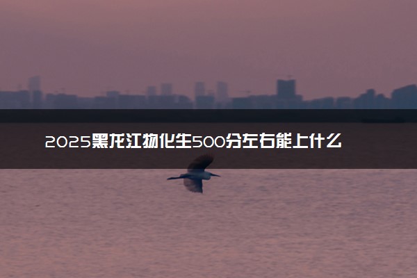 2025黑龙江物化生500分左右能上什么大学 可以报考的院校名单