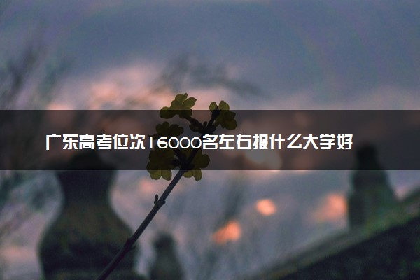 广东高考位次16000名左右报什么大学好（2025年参考）