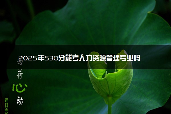 2025年530分能考人力资源管理专业吗 530分人力资源管理专业大学推荐