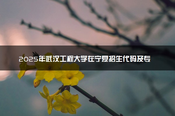 2025年武汉工程大学在宁夏招生代码及专业代码 武汉工程大学宁夏代码是多少？怎么查询？