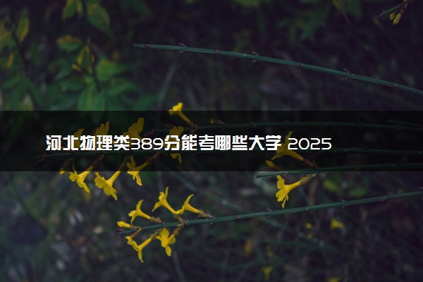 河北物理类389分能考哪些大学 2025考生稳上的大学名单