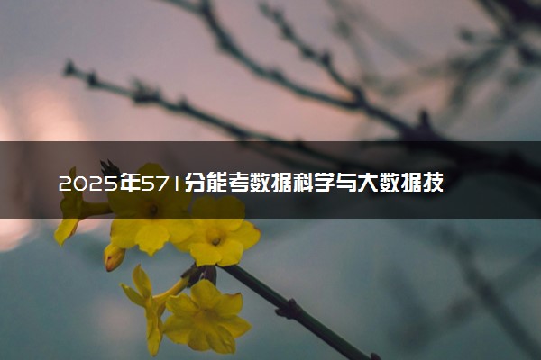 2025年571分能考数据科学与大数据技术专业吗 571分数据科学与大数据技术专业大学推荐