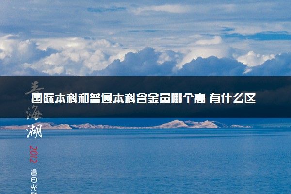 国际本科和普通本科含金量哪个高 有什么区别