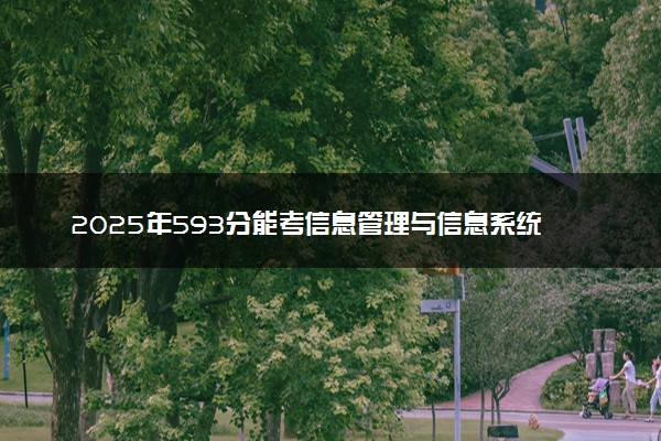 2025年593分能考信息管理与信息系统专业吗 593分信息管理与信息系统专业大学推荐