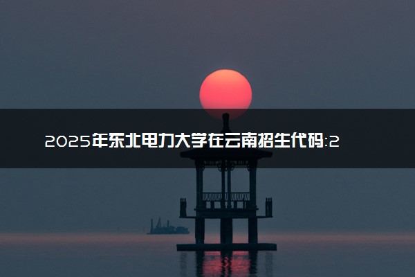 2025年东北电力大学在云南招生代码：2204 专业代码及报考指南