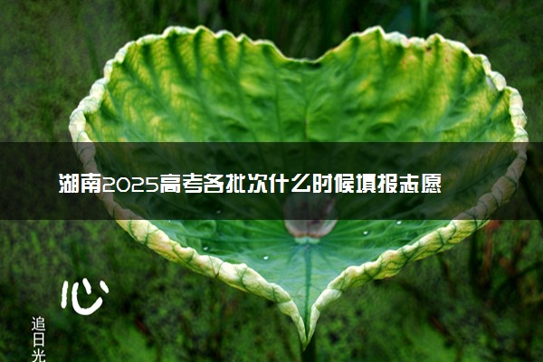 湖南2025高考各批次什么时候填报志愿 有几天时间