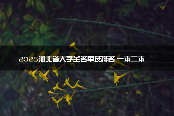 2025河北省大学全名单及排名 一本二本大学+985/211汇总