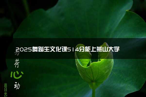 2025舞蹈生文化课514分能上燕山大学吗