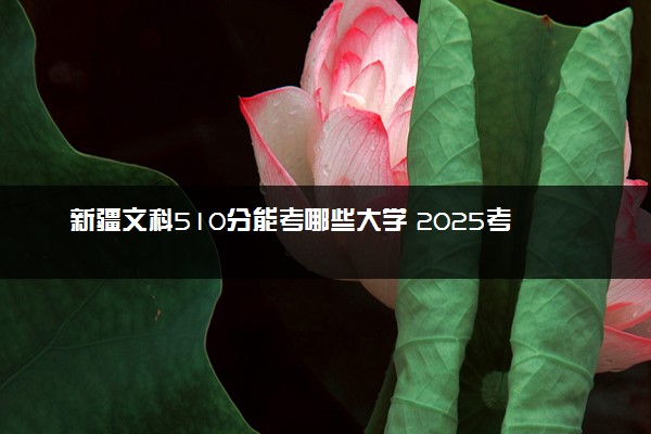 新疆文科510分能考哪些大学 2025考生稳上的大学名单