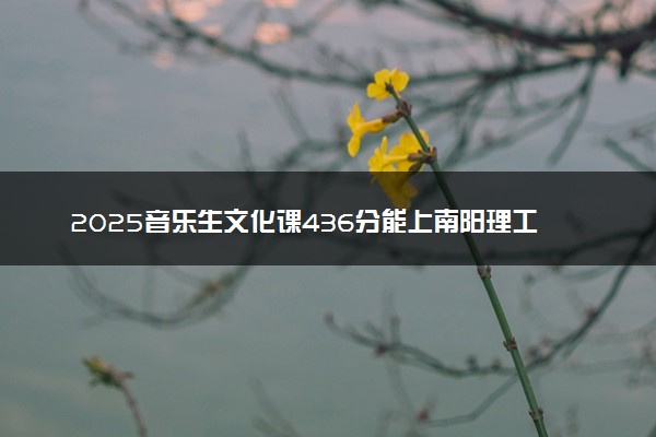 2025音乐生文化课436分能上南阳理工学院吗