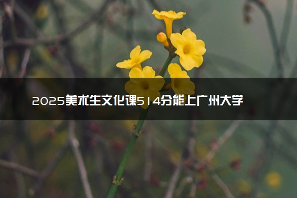 2025美术生文化课514分能上广州大学吗