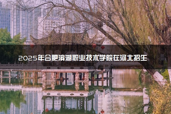 2025年合肥滨湖职业技术学院在河北招生代码：1405 专业代码及报考指南