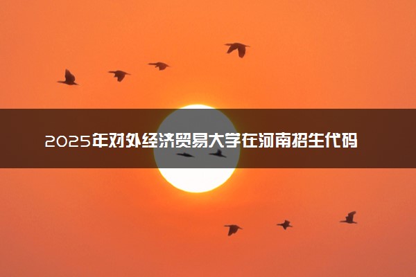 2025年对外经济贸易大学在河南招生代码及专业代码 对外经济贸易大学河南代码是多少？怎么查询？