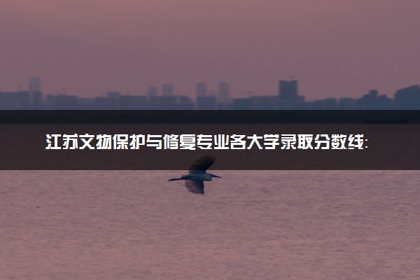 江苏文物保护与修复专业各大学录取分数线：最低527分能上 开设院校及位次