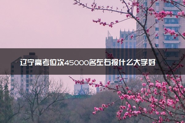 辽宁高考位次45000名左右报什么大学好（2025年参考）