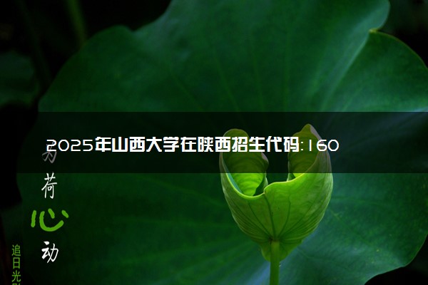 2025年山西大学在陕西招生代码：1601 专业代码及报考指南