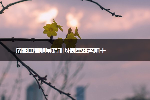 成都中考辅导培训班榜单排名前十