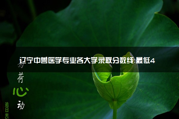 辽宁中兽医学专业各大学录取分数线：最低494分能上 开设院校及位次