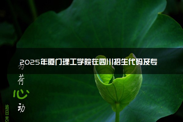 2025年厦门理工学院在四川招生代码及专业代码 厦门理工学院四川代码是多少？怎么查询？